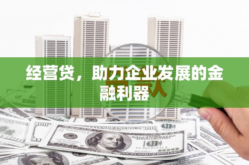 略阳经营贷，助力企业发展的金融利器
