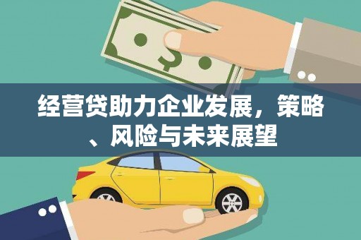 略阳经营贷助力企业发展，策略、风险与未来展望