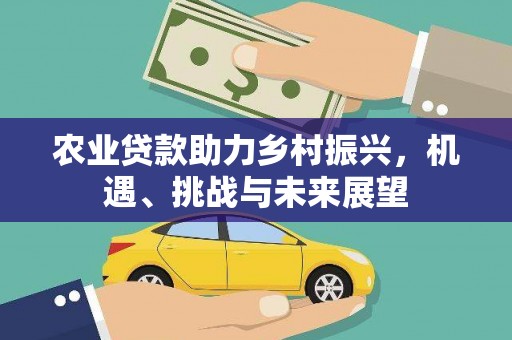略阳农业贷款助力乡村振兴，机遇、挑战与未来展望