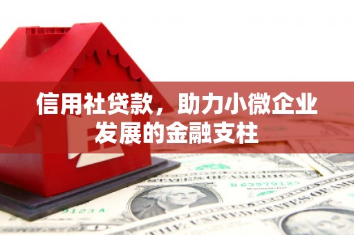 略阳信用社贷款，助力小微企业发展的金融支柱