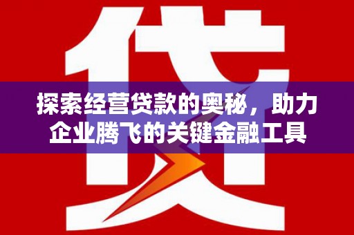 略阳探索经营贷款的奥秘，助力企业腾飞的关键金融工具