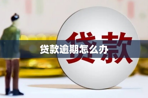 略阳贷款逾期怎么办