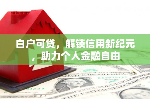略阳白户可贷，解锁信用新纪元，助力个人金融自由