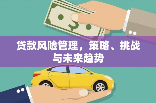 略阳贷款风险管理，策略、挑战与未来趋势