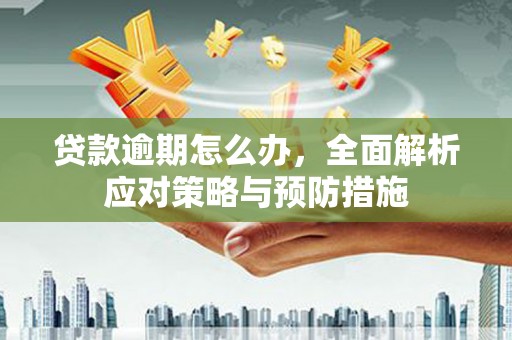 略阳贷款逾期怎么办，全面解析应对策略与预防措施