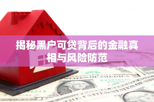 略阳揭秘黑户可贷背后的金融真相与风险防范
