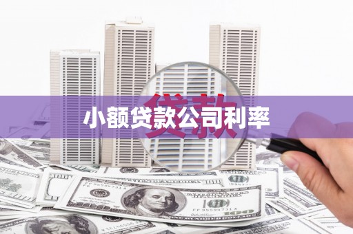 略阳小额贷款公司利率