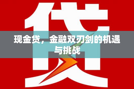 略阳现金贷，金融双刃剑的机遇与挑战