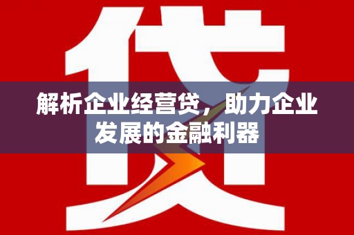 略阳解析企业经营贷，助力企业发展的金融利器
