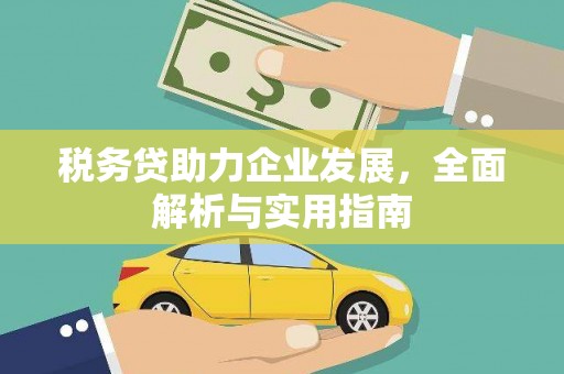 略阳税务贷助力企业发展，全面解析与实用指南