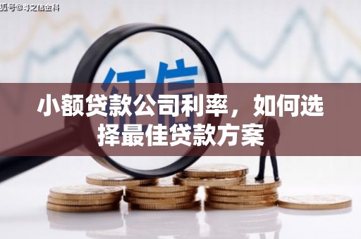 略阳小额贷款公司利率，如何选择最佳贷款方案