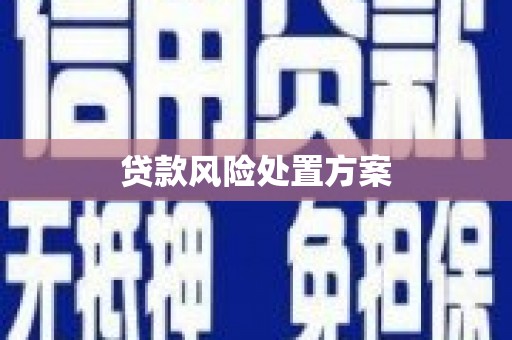 略阳贷款风险处置方案