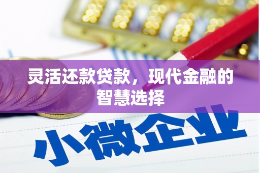 略阳灵活还款贷款，现代金融的智慧选择