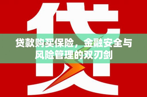 略阳贷款购买保险，金融安全与风险管理的双刃剑