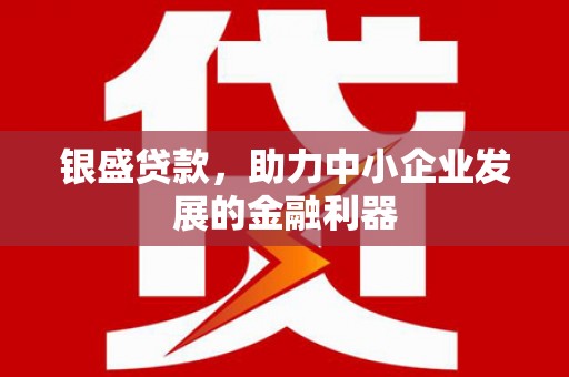 略阳银盛贷款，助力中小企业发展的金融利器