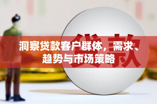 略阳洞察贷款客户群体，需求、趋势与市场策略