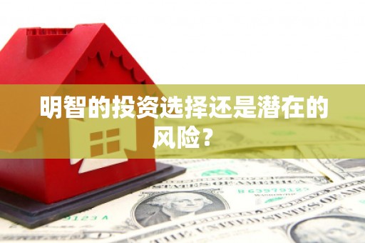 略阳明智的投资选择还是潜在的风险？