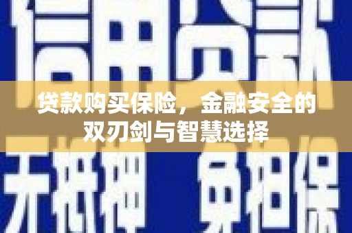 略阳贷款购买保险，金融安全的双刃剑与智慧选择