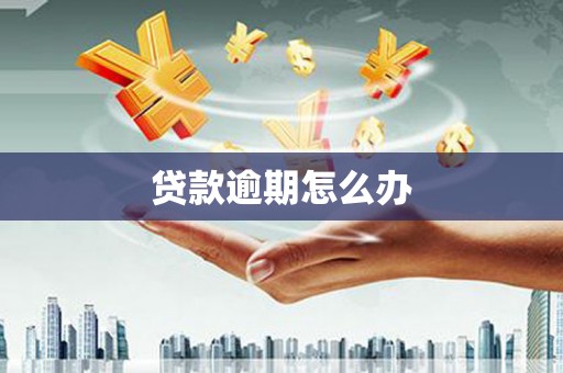 略阳贷款逾期怎么办