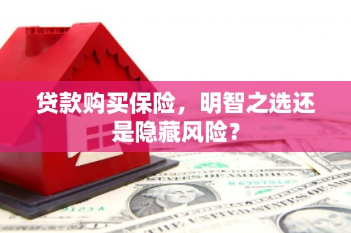 略阳贷款购买保险，明智之选还是隐藏风险？