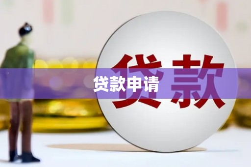 略阳贷款申请
