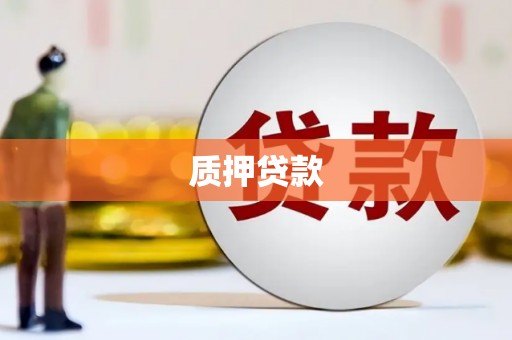 略阳质押贷款