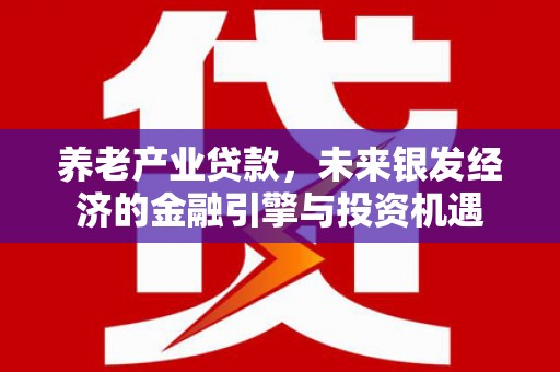 略阳养老产业贷款，未来银发经济的金融引擎与投资机遇