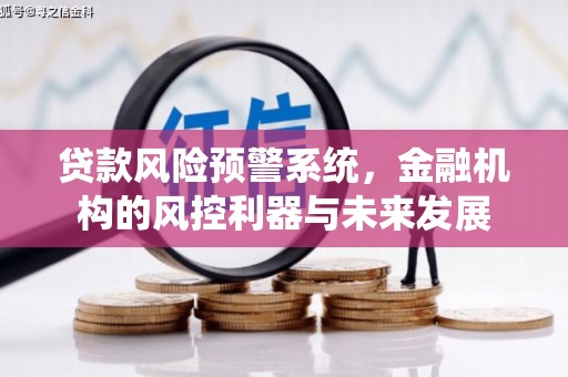略阳贷款风险预警系统，金融机构的风控利器与未来发展