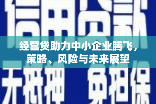 略阳经营贷助力中小企业腾飞，策略、风险与未来展望
