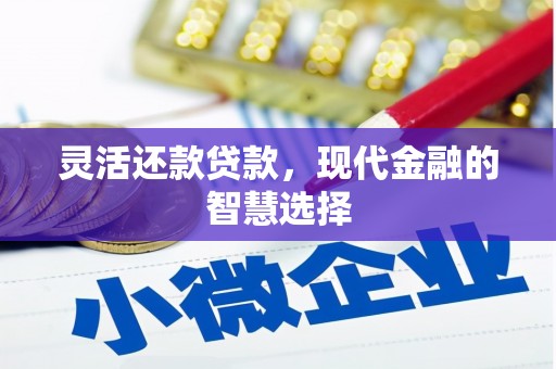 略阳灵活还款贷款，现代金融的智慧选择