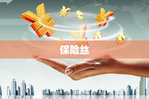 略阳保险丝