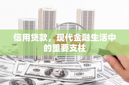 略阳信用贷款，现代金融生活中的重要支柱