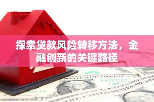 略阳探索贷款风险转移方法，金融创新的关键路径