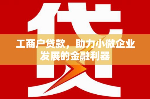 略阳工商户贷款，助力小微企业发展的金融利器
