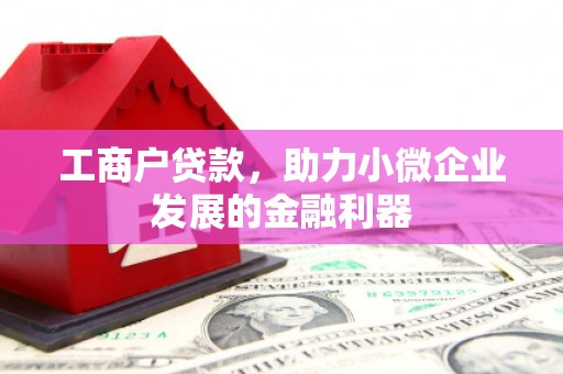略阳工商户贷款，助力小微企业发展的金融利器