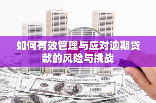 略阳如何有效管理与应对逾期贷款的风险与挑战