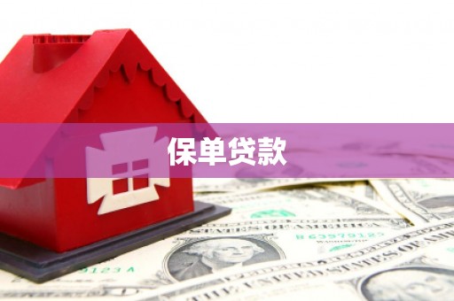 略阳保单贷款