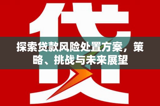 略阳探索贷款风险处置方案，策略、挑战与未来展望
