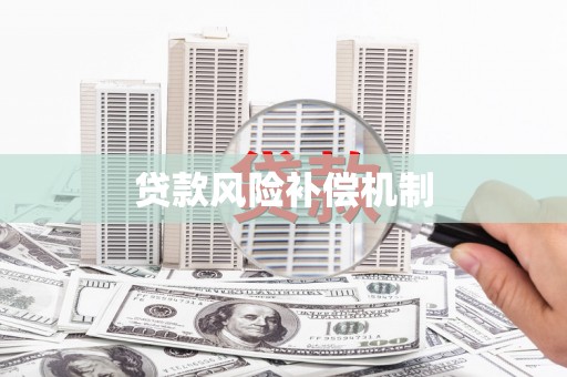 略阳贷款风险补偿机制