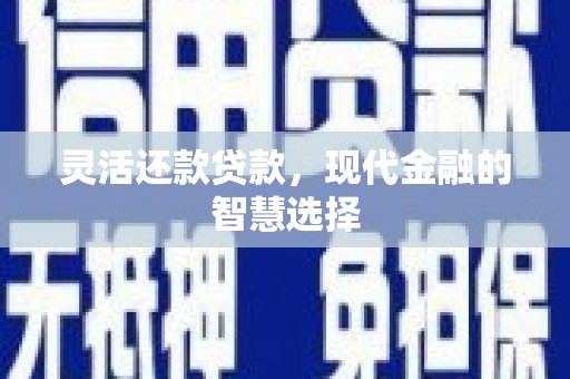 略阳灵活还款贷款，现代金融的智慧选择