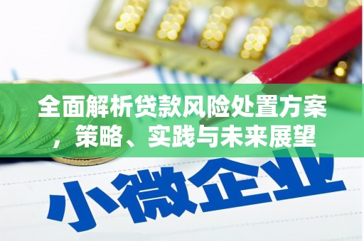 略阳全面解析贷款风险处置方案，策略、实践与未来展望