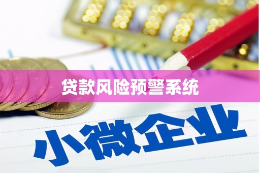 略阳贷款风险预警系统