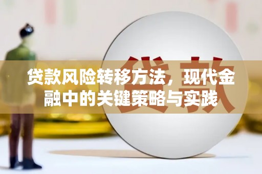 略阳贷款风险转移方法，现代金融中的关键策略与实践