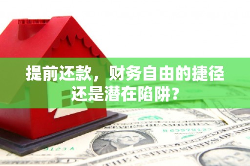 略阳提前还款，财务自由的捷径还是潜在陷阱？