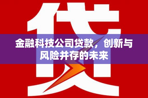 略阳金融科技公司贷款，创新与风险并存的未来