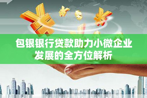 略阳包银银行贷款助力小微企业发展的全方位解析 略阳包银银行贷款助力小微企业发展的全方位解析
