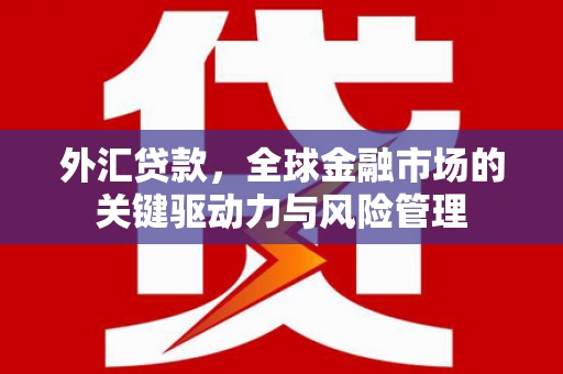 略阳外汇贷款，全球金融市场的关键驱动力与风险管理