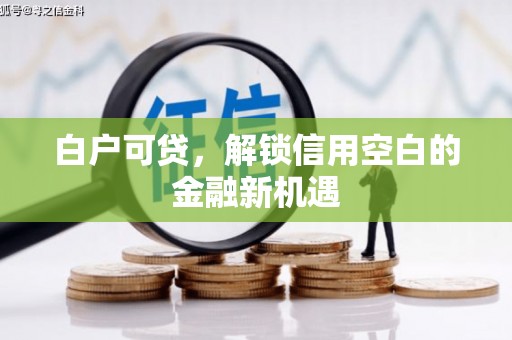 略阳白户可贷，解锁信用空白的金融新机遇