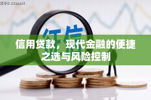 略阳信用贷款，现代金融的便捷之选与风险控制