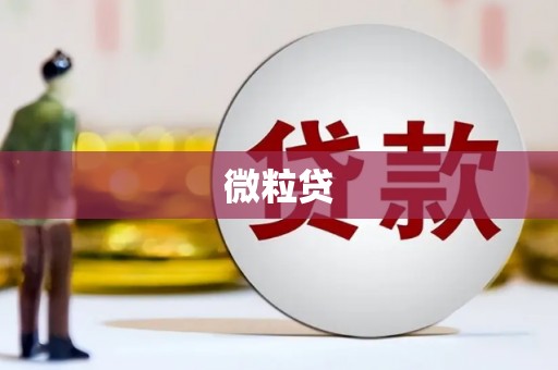 略阳微粒贷